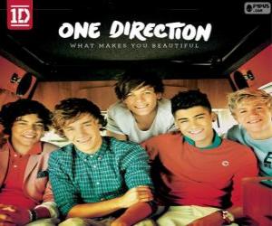 Puzzle What Makes You Beautiful, One Direction